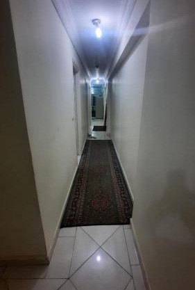 شقه مصيفيه بخالد بن الوليد الاسكندريه