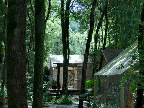 景德镇树园心舍民宿JDZ Forest Haven B&B