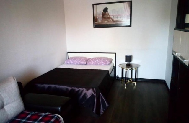 1-но комн кварт на 4 чел и 1 доп, Елец - 100 м от бесплатной М4