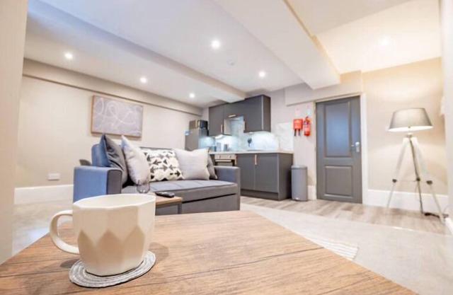 1 Bed Basement Apartment in Worcester City Centre
