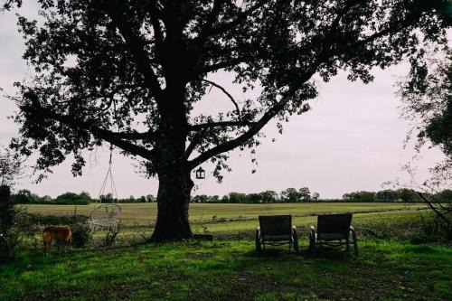 1 Bed Tiny House Sleeps 2 -Hot Tub -Coal Fireplace