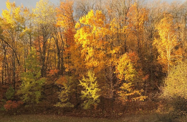 💕🌼🌸 1 bedroom 1 bath suite at Boyne Mountain 2 nights.