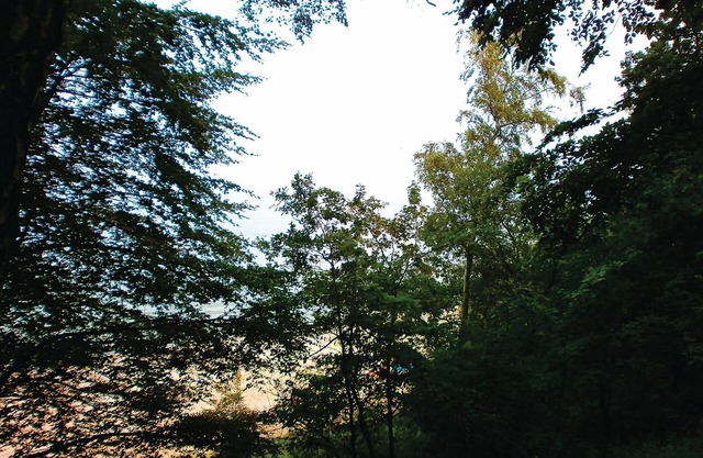 1 bedroom accommodation in Diedrichshagen