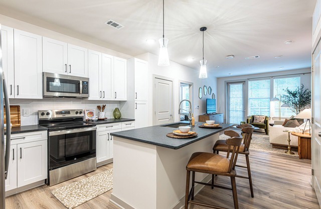 1 Bedroom Apartment-Across the River from Neyland Stadium