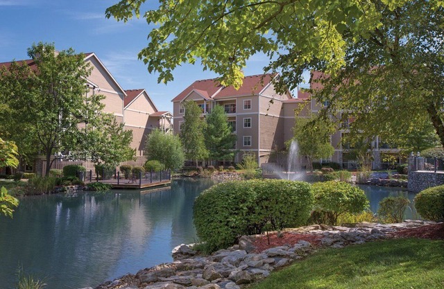 1 Bedroom Suite in Branson, MO!
