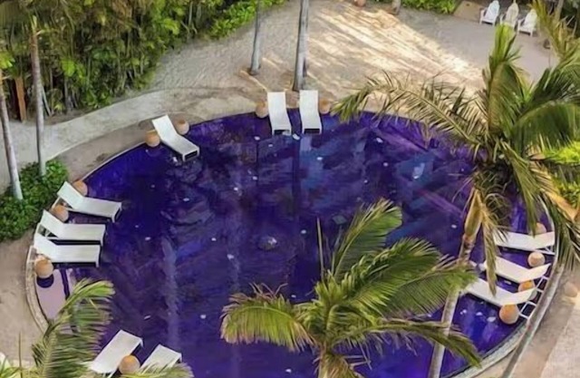 1 Bedroom Suite, The Modern Resort & Spa, Honolulu