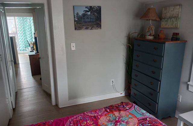 #1 Dog Friendly Location at the Beach. 1 minute walk to the Ocean