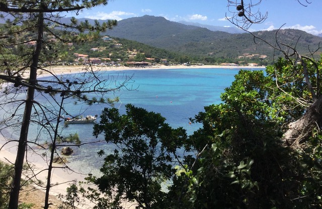 1 Residence Playa del Oro- Favone 3- Three-room apartment on the first floor