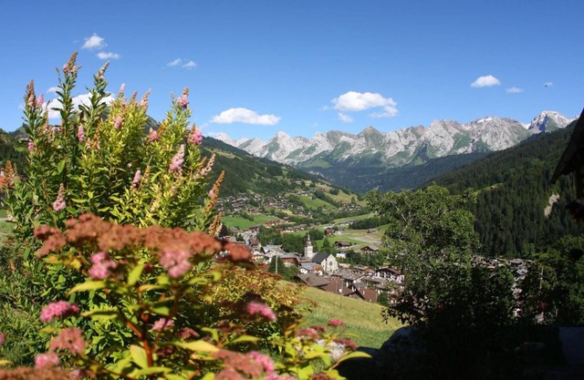 100m from ski slopes, Ground floor, fitness, swimming pool, sauna, parking, tv, ski locker, 60m²