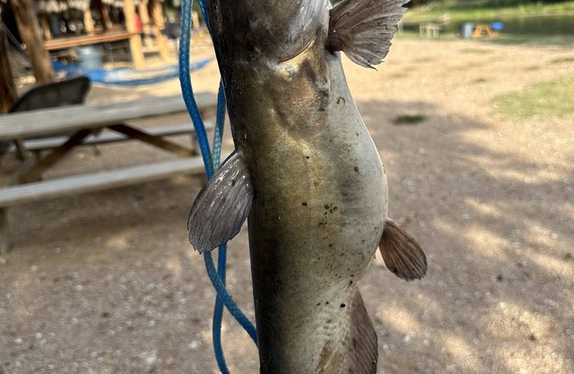 #14 Son's River Ranch - Glamping Cabin w/2 Queen Beds
