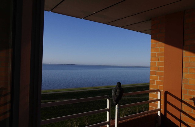 146 Südstrand Meerblick