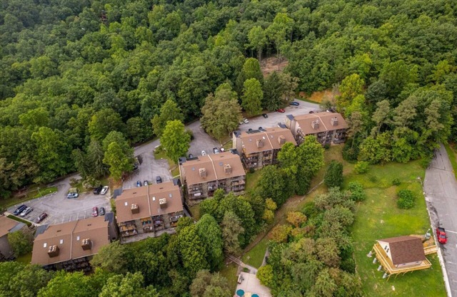 1BR, secluded condo, views. Free attraction tickets.