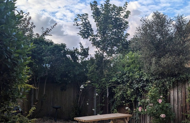 2 bed garden flat Hither Green with parking