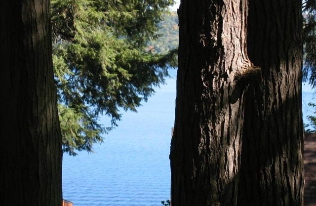 2 Bedroom Cabin on Cayuga Lake 1 Mile from Ithaca