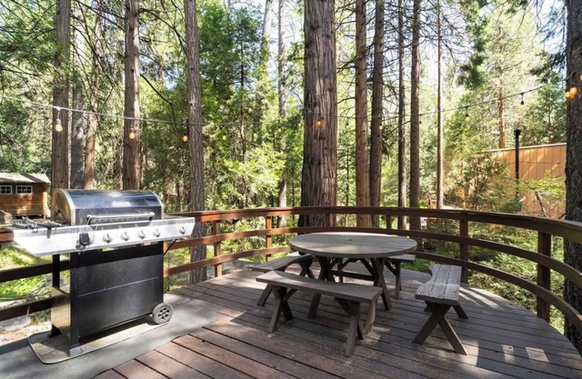2 Brooks - Walk To Town, Seasonal Stream, Awesome Back Deck & Cool Architecture