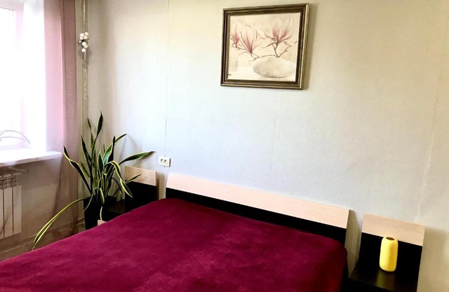 2-х комнатные апартаменты на ул . Максима Горького 161