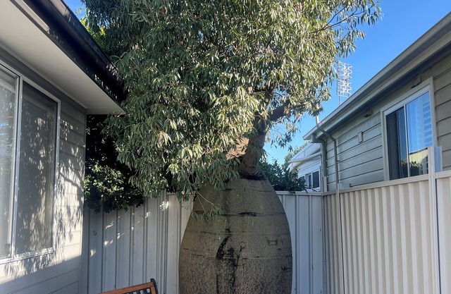 21A Boab Cottage