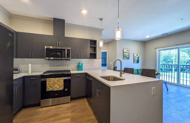 223 Brand New 2 Bdrm, 2 BATH, 1 Liv, 1 Kith