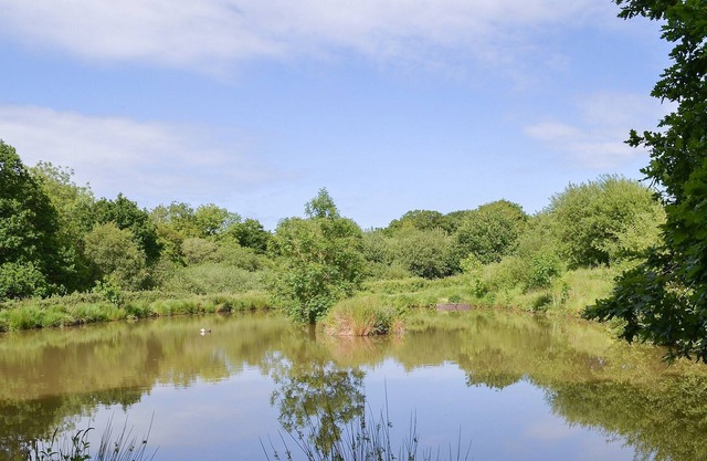 3 bedroom accommodation in Bridestowe, near Okehampton