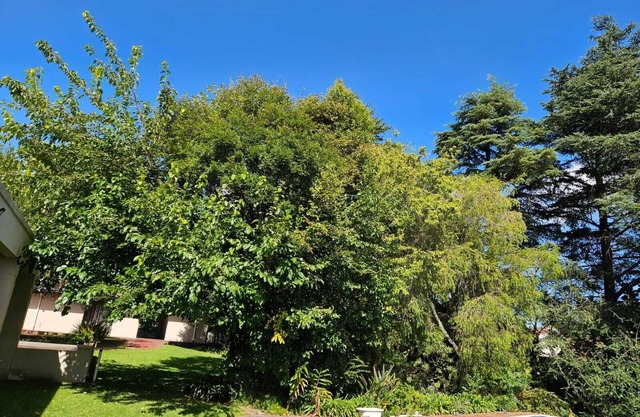 3-bedroom apartment in peaceful Sandton with WiFi, AC