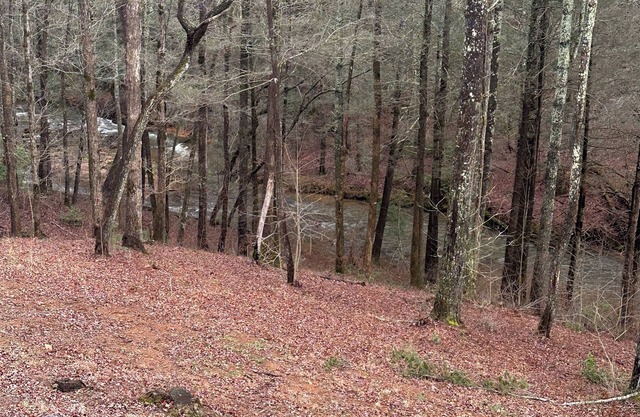 3-bedroom house in Dahlonega right on Yahoola Creek. WiFi, Fireplace & hot-tub.