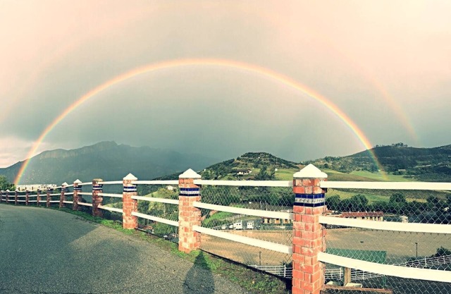 30 Discount on Malibu's Private Retreat +Dogs