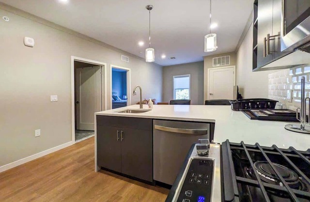 315 Brand New 1 Bedroom, 1 Bath, 1 Full Kit, 1 Liv
