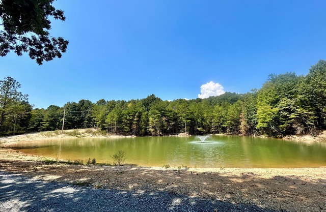 4-bedroom farmhouse on beautiful, secluded homestead with family/pet amenities