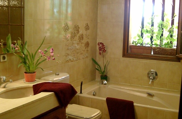 4-bedroom villa in peaceful Grasse with swiming pool, WiFi, AC,