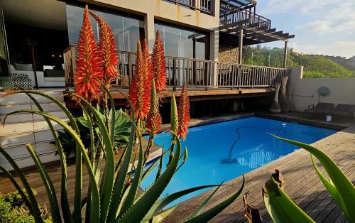 4 Dolphin Views La Mercy Luxury Beachfront Apartment with Private Swimming Pool