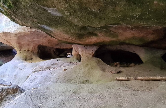 4 P.-fewo "waldquell" im Landhaus Porschdorf
