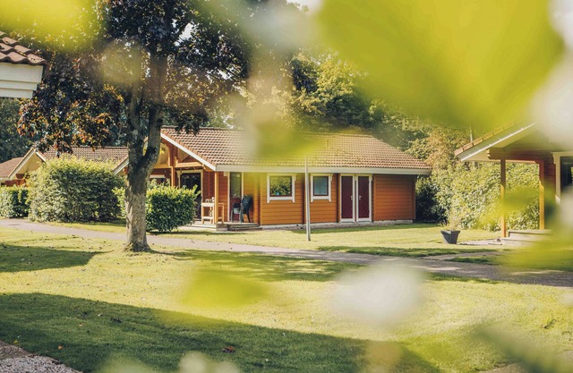 4-person bungalow with private sauna, veranda and washing machine at holiday park ’t Hooge Holt near Gramsbergen and nature.