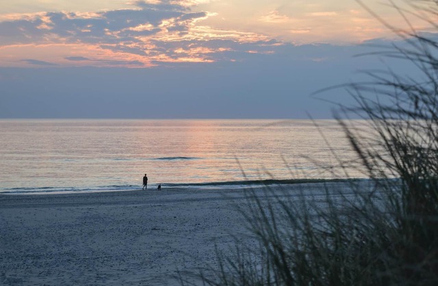 5 bedroom accommodation in Ulfborg