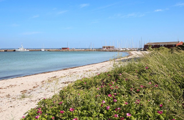 5 bedroom accommodation in Samsø