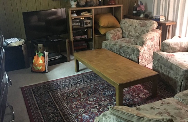 70's Cabin/Condo