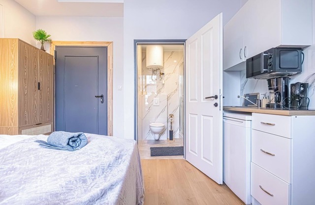 9BR Apts in the Heart of Vienna