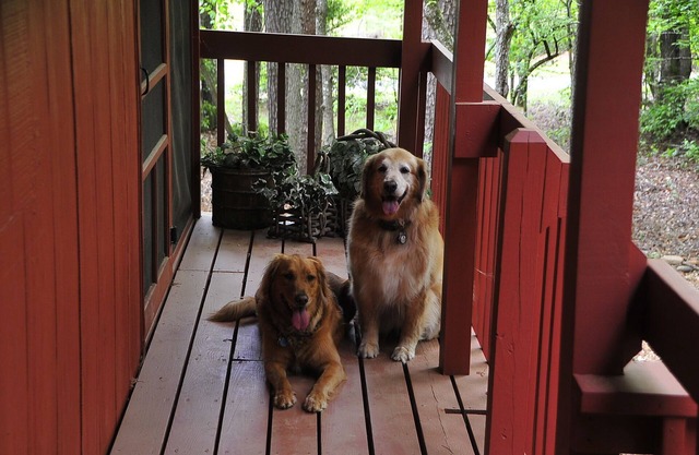 A CABIN ON PARADISE Tranquil cabin in Murphy - Perfect getaway for relaxation