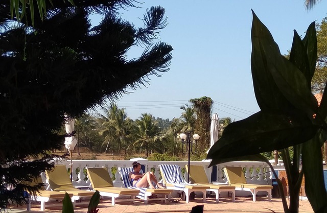 A Cheerful Studio Apartment for Two in Sunny Goa