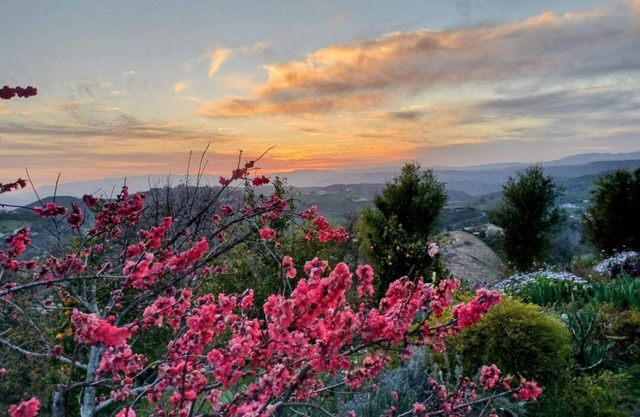 A Gentleman Farmer's Dream with a View in Temecula
