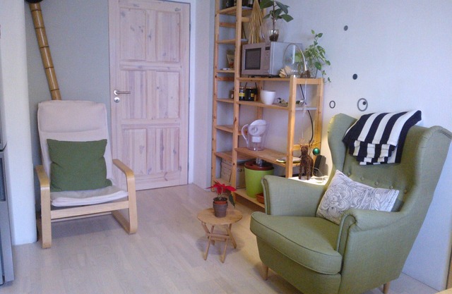 A Luxury Apartment in Prague 7