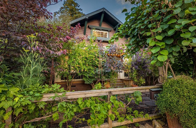 A private, comfy 3bd-2ba home in the heart of downtown Petaluma!
