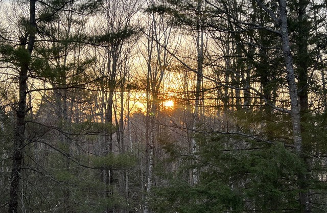 A quiet, secluded getaway, yet still close to everything!