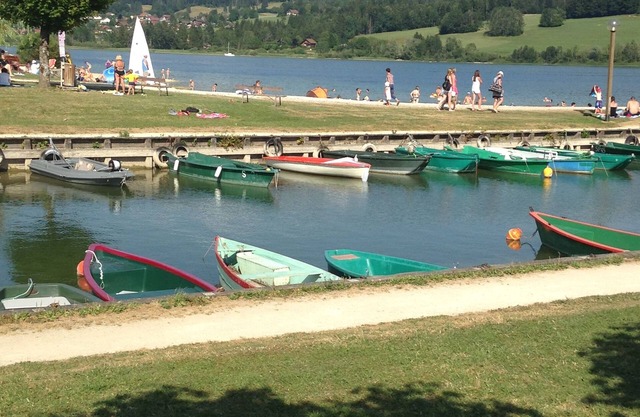 A real wooden chalet; comfort and view, sauna, ski at 10 min., lake at 5 min.