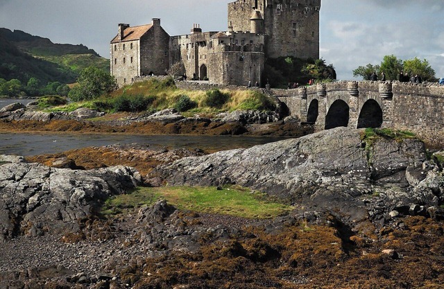 A room in the heart of Redmond, WA