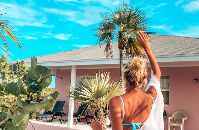 A Slice Of Tropical Paradise
