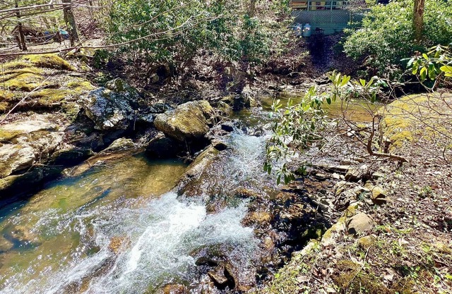 A Troutsong on Rushing Stream-Minutes to Boone!
