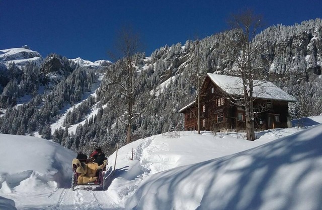 Absolutely quiet panoramic location in an ancient wooden house