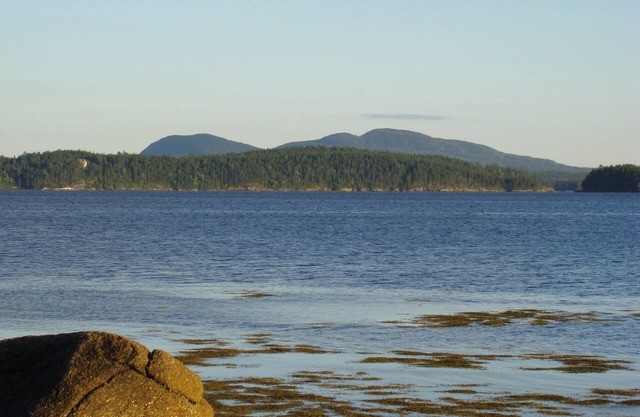Acadia National Park TWO Seaside adjacent Houses! Sleeps 20 15 min to Acadia!