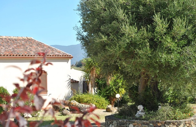 Accommodation (800m from the sea)