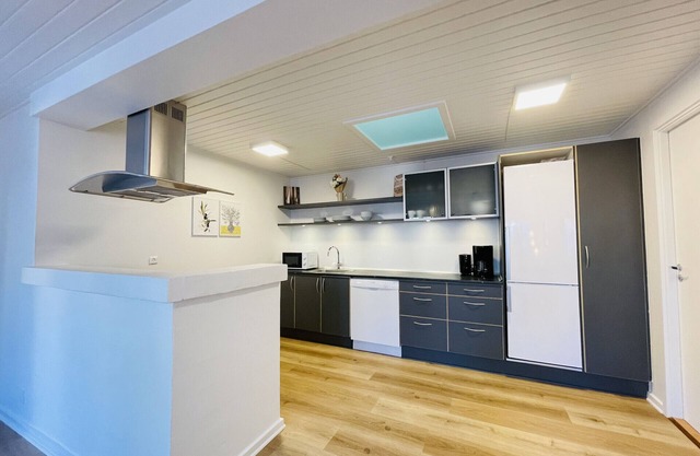 aday - Charming apartment in the pedestrian street of Frederikshavn